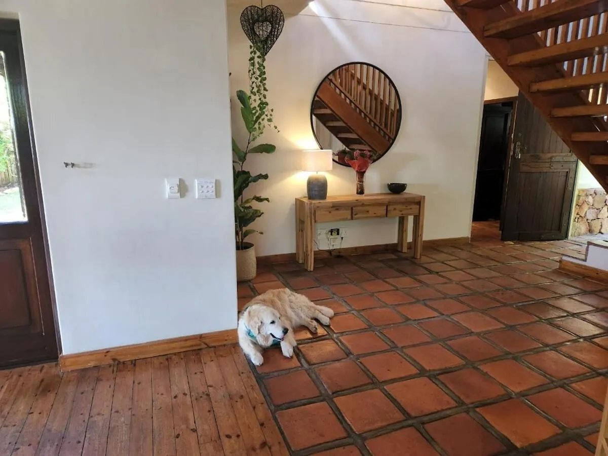 Guinea Fowl House Βίλα Κέιπ Τάουν Νότια Αφρική