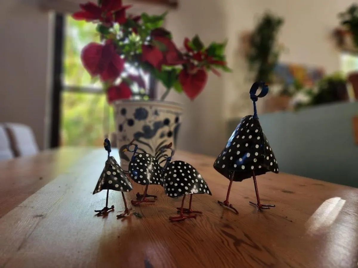 Guinea Fowl House Βίλα Κέιπ Τάουν
